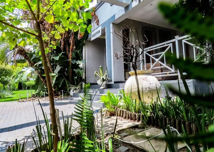 Corgi Guest House